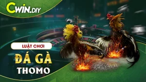 Luật Chơi Đá Gà Thomo